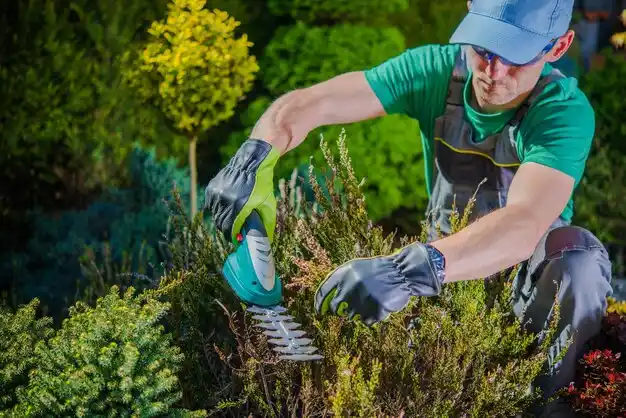 landscaping services Whites Landing
